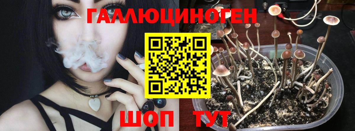 наркошоп  Псилоцибиновые грибы прущие грибы  Вход с VPN  Галлюциногенные грибы Psilocybe  Верхняя Салда 